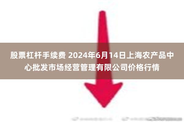 股票杠杆手续费 2024年6月14日上海农产品中心批发市场经营管理有限公司价格行情