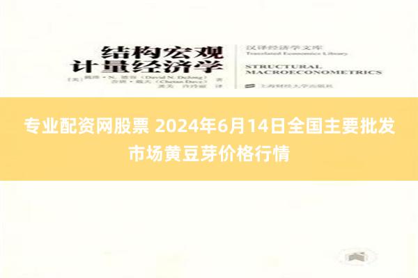 专业配资网股票 2024年6月14日全国主要批发市场黄豆芽价格行情