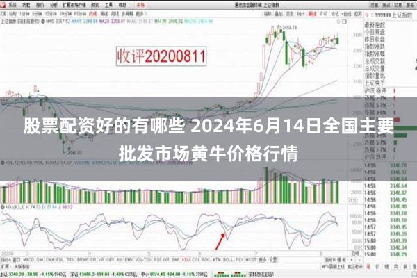 股票配资好的有哪些 2024年6月14日全国主要批发市场黄牛价格行情