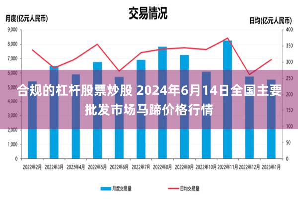 合规的杠杆股票炒股 2024年6月14日全国主要批发市场马蹄价格行情