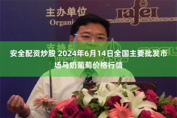 安全配资炒股 2024年6月14日全国主要批发市场马奶葡萄价格行情