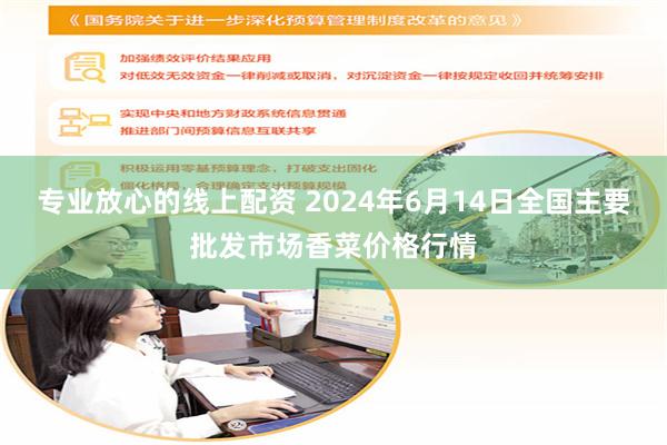 专业放心的线上配资 2024年6月14日全国主要批发市场香菜价格行情