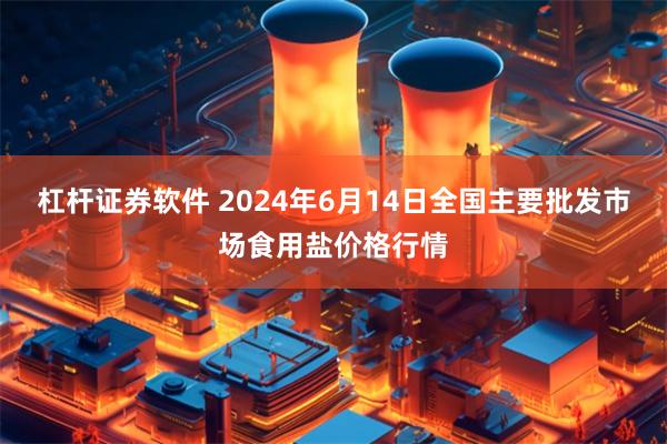 杠杆证券软件 2024年6月14日全国主要批发市场食用盐价格行情