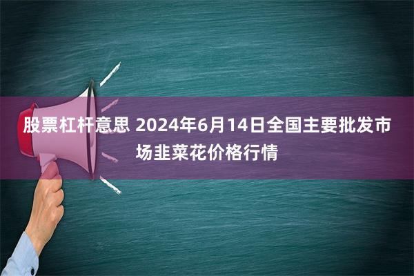 股票杠杆意思 2024年6月14日全国主要批发市场韭菜花价格行情