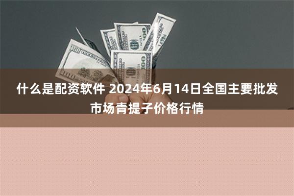 什么是配资软件 2024年6月14日全国主要批发市场青提子价格行情