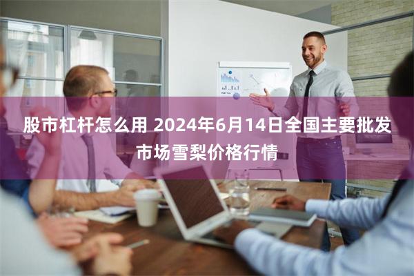 股市杠杆怎么用 2024年6月14日全国主要批发市场雪梨价格行情