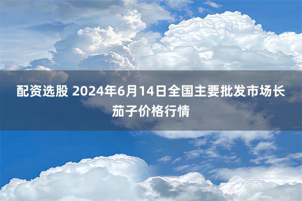 配资选股 2024年6月14日全国主要批发市场长茄子价格行情