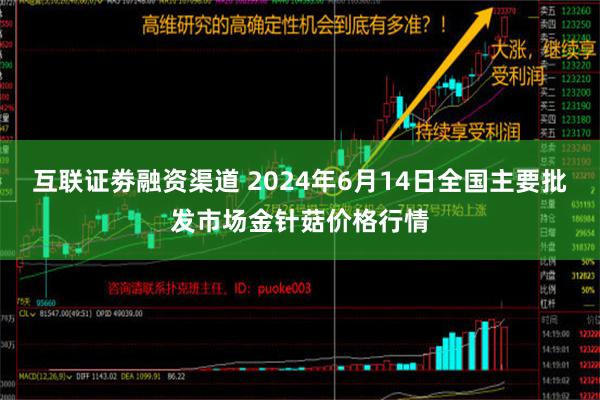 互联证劵融资渠道 2024年6月14日全国主要批发市场金针菇价格行情