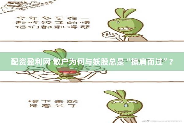 配资盈利网 散户为何与妖股总是“擦肩而过”?