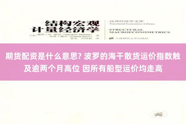 期货配资是什么意思? 波罗的海干散货运价指数触及逾两个月高位 因所有船型运价均走高