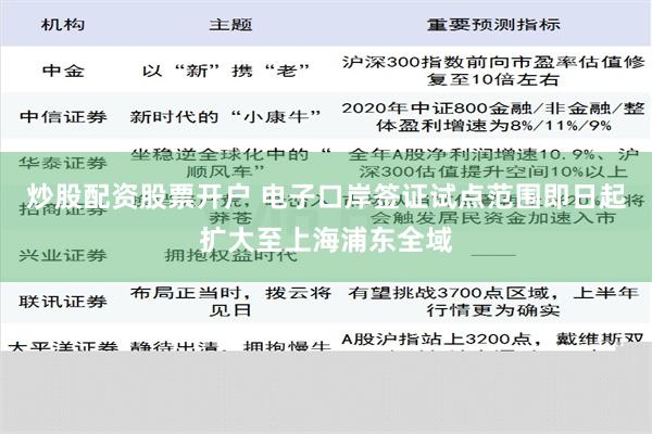 炒股配资股票开户 电子口岸签证试点范围即日起扩大至上海浦东全域