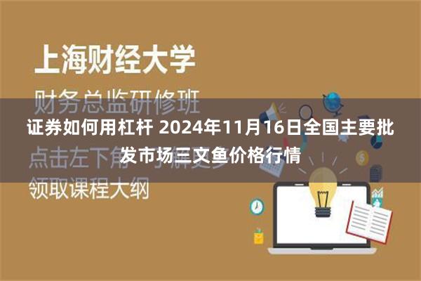 证券如何用杠杆 2024年11月16日全国主要批发市场三文鱼价格行情