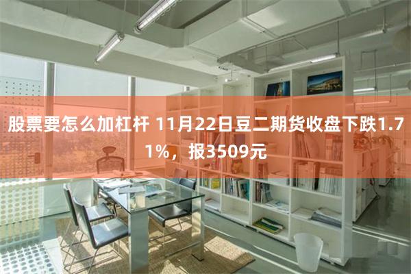 股票要怎么加杠杆 11月22日豆二期货收盘下跌1.71%，报3509元